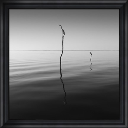 Framed Father And Son Print