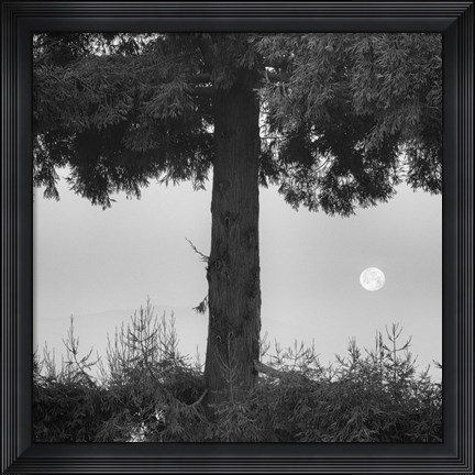 Framed Alice Moving Under Skies Print