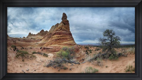 Framed Cottonwood III Print