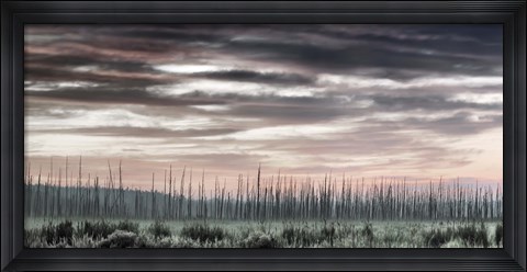 Framed Barrens Print