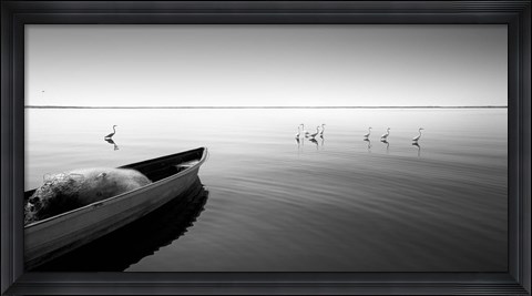 Framed Boat And Herons Print