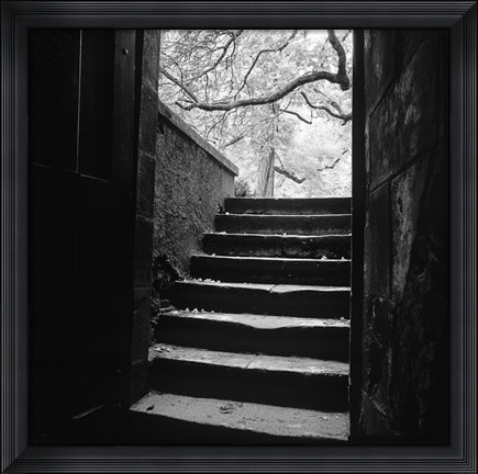 Framed Chenonceaux Print