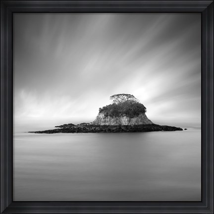 Framed Rat Island Print