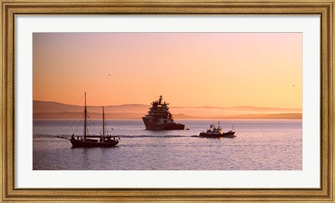 Framed Tugboat with a trawler and a tall ship in the Baie de Douarnenez at sunrise, Finistere, Brittany, France Print