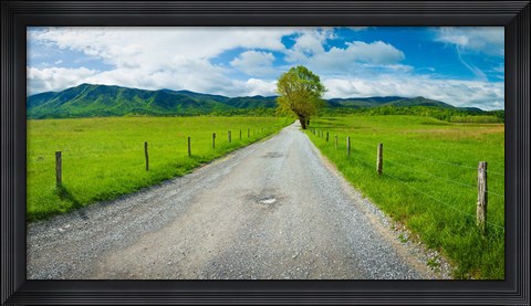 Framed Country gravel road passing through a field, Hyatt Lane, Cades Cove, Great Smoky Mountains National Park, Tennessee Print