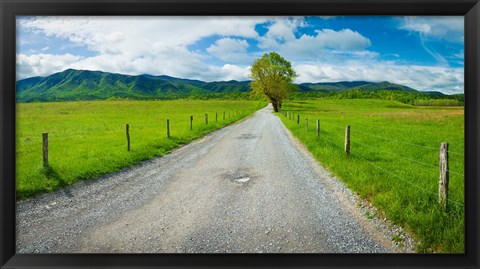 Framed Country gravel road passing through a field, Hyatt Lane, Cades Cove, Great Smoky Mountains National Park, Tennessee Print