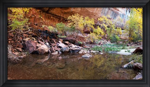 Framed Reflecting pond in Zion National Park, Springdale, Utah, USA Print