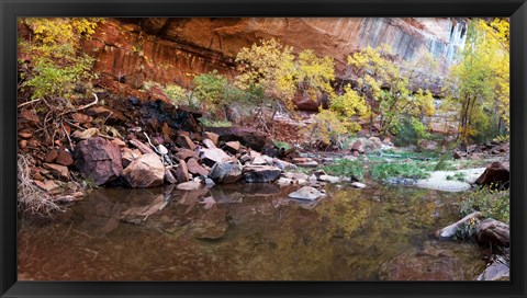 Framed Reflecting pond in Zion National Park, Springdale, Utah, USA Print