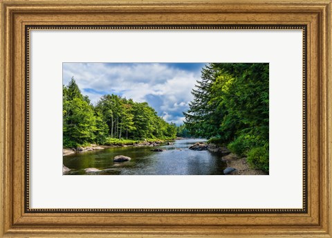 Framed Trees along the Moose River, New York State Print