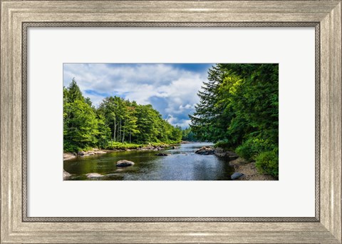 Framed Trees along the Moose River, New York State Print