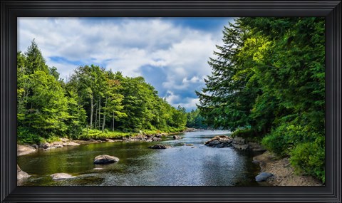 Framed Trees along the Moose River, New York State Print
