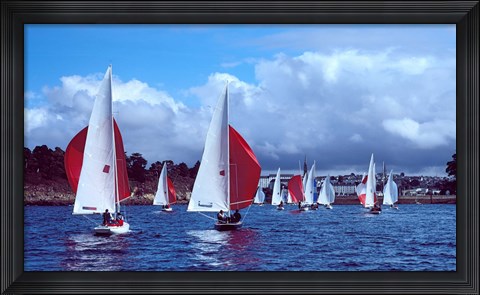 Framed Dragon regatta in Baie De Douarnenez, Finistere, Brittany, France Print