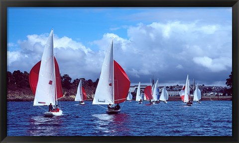 Framed Dragon regatta in Baie De Douarnenez, Finistere, Brittany, France Print