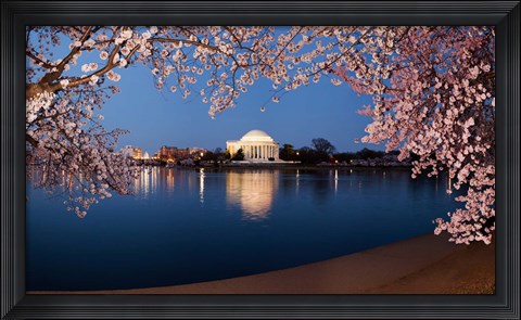 Framed Cherry Blossom Tree with Jefferson Memorial, Washington DC Print
