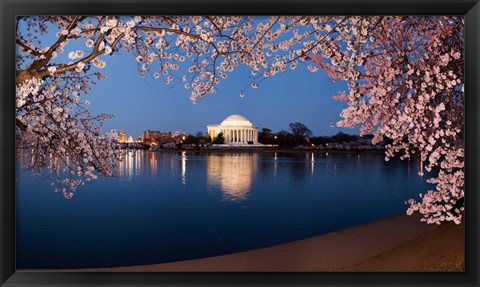 Framed Cherry Blossom Tree with Jefferson Memorial, Washington DC Print