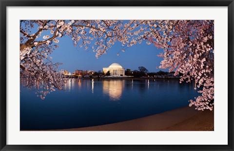 Framed Cherry Blossom Tree with Jefferson Memorial, Washington DC Print