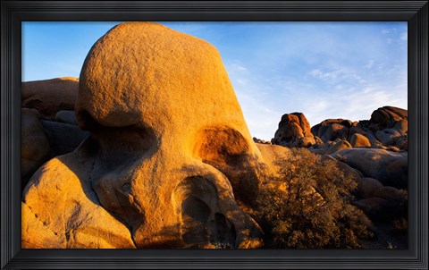 Framed Skull Rock formations, Joshua Tree National Park, California, USA Print