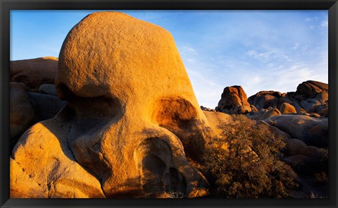 Framed Skull Rock formations, Joshua Tree National Park, California, USA Print