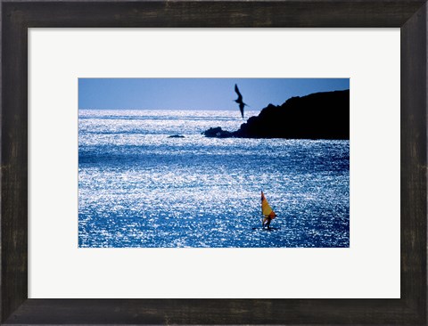 Framed Windsurfer in the sea, Sint Maarten, Netherlands Antilles Print