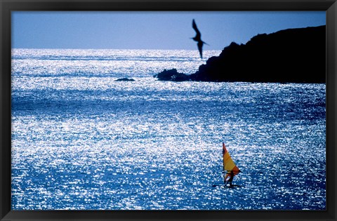 Framed Windsurfer in the sea, Sint Maarten, Netherlands Antilles Print