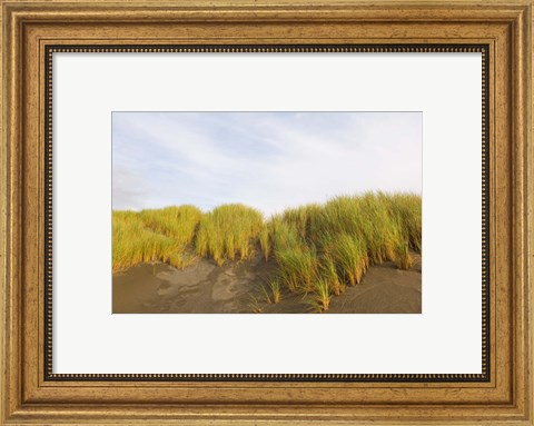 Framed Beach grass on sand, Pistol River State Scenic Viewpoint, Oregon, USA Print