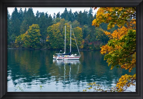 Framed Sailboats in a lake, Washington State, USA Print