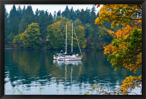 Framed Sailboats in a lake, Washington State, USA Print