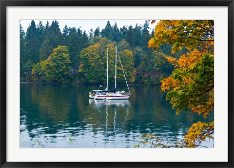 Framed Sailboats in a lake, Washington State, USA Print