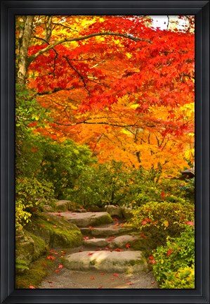 Framed Stone steps in a forest in autumn, Washington State, USA Print