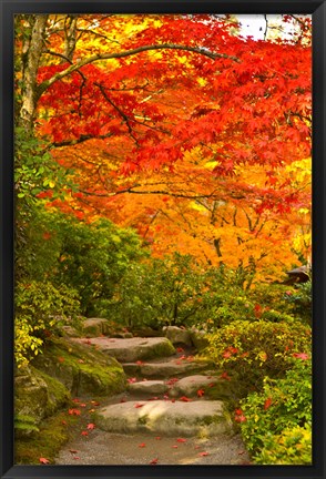 Framed Stone steps in a forest in autumn, Washington State, USA Print