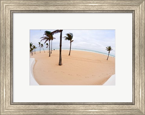 Framed Palm trees on the beach, Fort Lauderdale, Broward County, Florida, USA Print