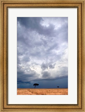 Framed Two trees on a landscape, Masai Mara National Reserve, Kenya Print