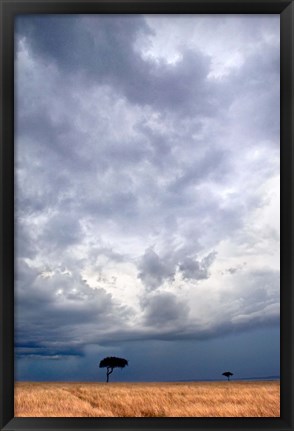 Framed Two trees on a landscape, Masai Mara National Reserve, Kenya Print