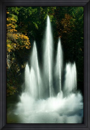 Framed Waterfall in a garden, Butchart Gardens, Victoria, Vancouver Island, British Columbia, Canada Print