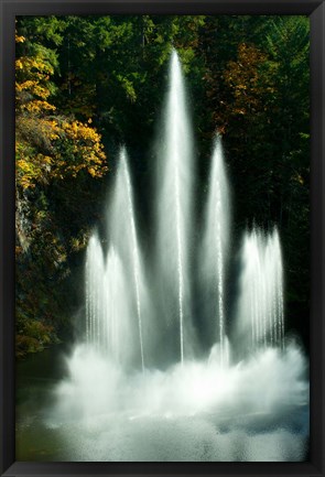 Framed Waterfall in a garden, Butchart Gardens, Victoria, Vancouver Island, British Columbia, Canada Print