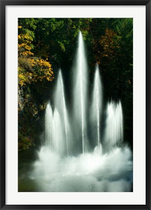 Framed Waterfall in a garden, Butchart Gardens, Victoria, Vancouver Island, British Columbia, Canada Print