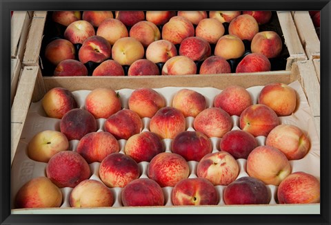 Framed Peaches at a market stall, Lourmarin, Vaucluse, Provence-Alpes-Cote d&#39;Azur, France Print