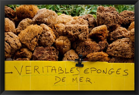 Framed Natural sponges for sale in a market, Lourmarin, Vaucluse, Provence-Alpes-Cote d&#39;Azur, France Print