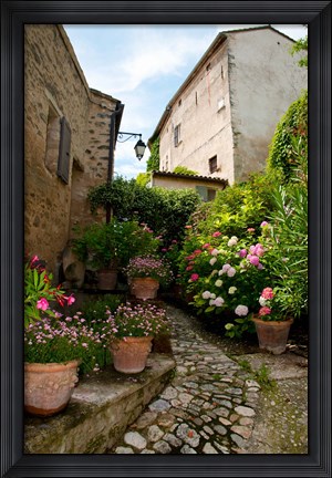 Framed Flowers pots on street, Lacoste, Vaucluse, Provence-Alpes-Cote d&#39;Azur, France Print