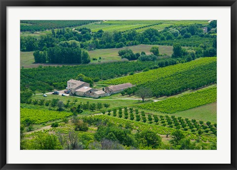 Framed Farmhouse in a field, Lacoste, Vaucluse, Provence-Alpes-Cote d&#39;Azur, France Print