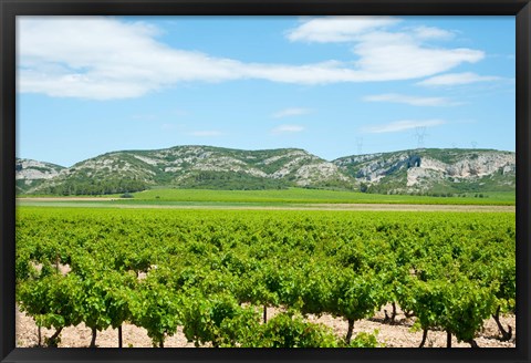 Framed Vineyards with hills in the background, Alpilles, Route d&#39;Orgon, Eyguieres, Bouches-Du-Rhone, Provence-Alpes-Cote d&#39;Azur, France Print