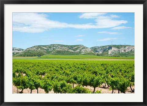 Framed Vineyards with hills in the background, Alpilles, Route d&#39;Orgon, Eyguieres, Bouches-Du-Rhone, Provence-Alpes-Cote d&#39;Azur, France Print