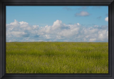 Framed Lavender Field, France Print