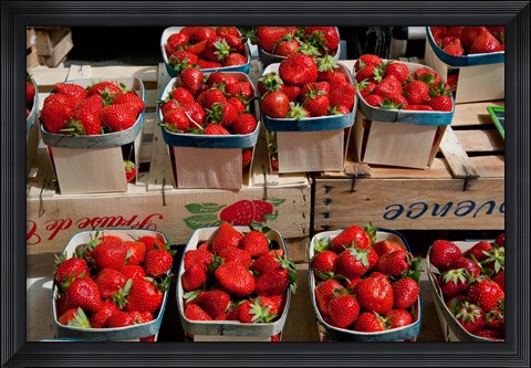 Framed Strawberries for sale at weekly market, Arles, Bouches-Du-Rhone, Provence-Alpes-Cote d&#39;Azur, France Print