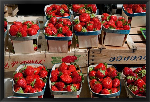 Framed Strawberries for sale at weekly market, Arles, Bouches-Du-Rhone, Provence-Alpes-Cote d&#39;Azur, France Print