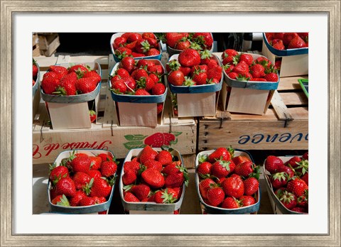 Framed Strawberries for sale at weekly market, Arles, Bouches-Du-Rhone, Provence-Alpes-Cote d&#39;Azur, France Print