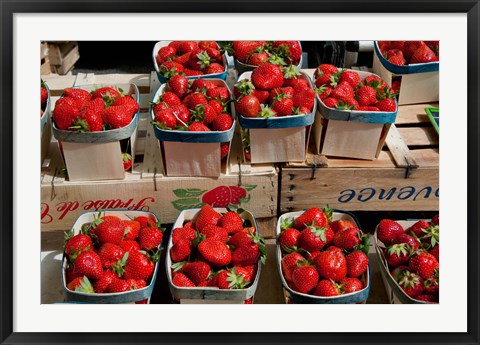 Framed Strawberries for sale at weekly market, Arles, Bouches-Du-Rhone, Provence-Alpes-Cote d&#39;Azur, France Print