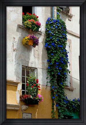 Framed Building with flower pots on each window, Rue Des Arenes, Arles, Bouches-Du-Rhone, Provence-Alpes-Cote d&#39;Azur, France Print