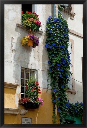 Framed Building with flower pots on each window, Rue Des Arenes, Arles, Bouches-Du-Rhone, Provence-Alpes-Cote d&#39;Azur, France Print