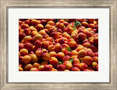 Framed Nectarines for sale at weekly market, St.-Remy-de-Provence, Bouches-Du-Rhone, Provence-Alpes-Cote d&#39;Azur, France Print